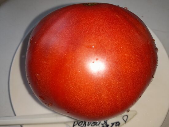 Розовая мечта